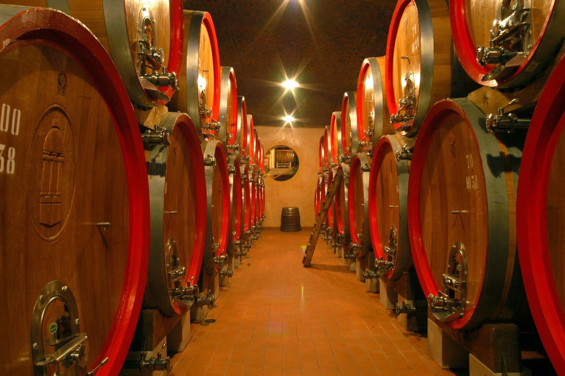 Tedeschi Wines | Degustazione con visita