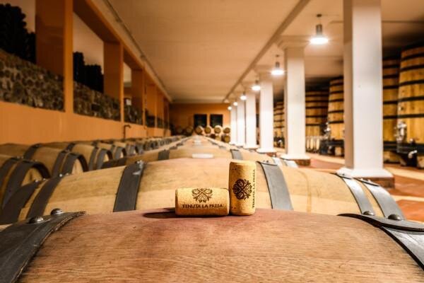 Tenuta la Presa| Napoleone wine experience - in italian