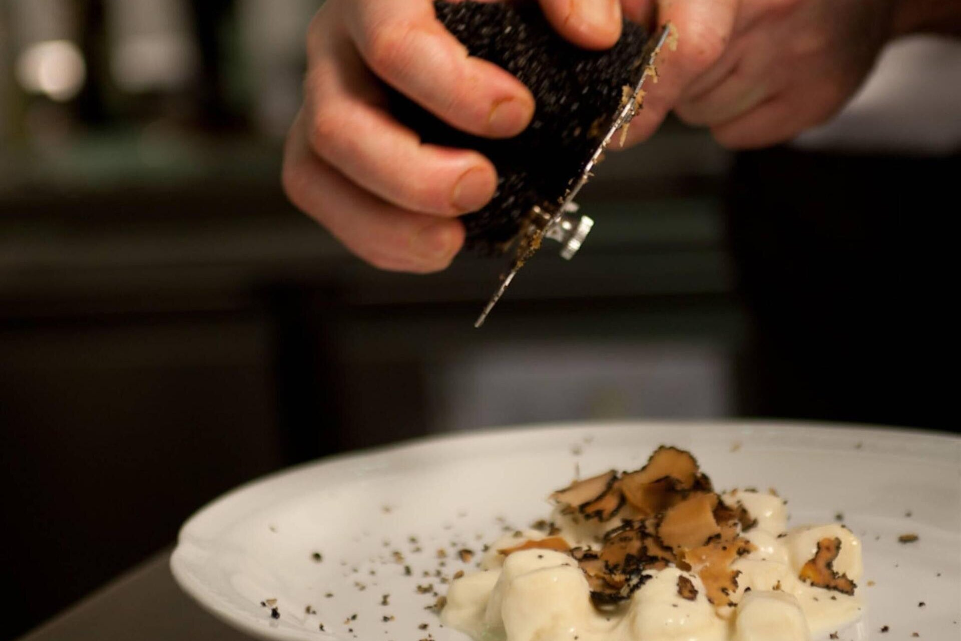 TOMMASI | Wine & Food Tasting at Villa Quaranta