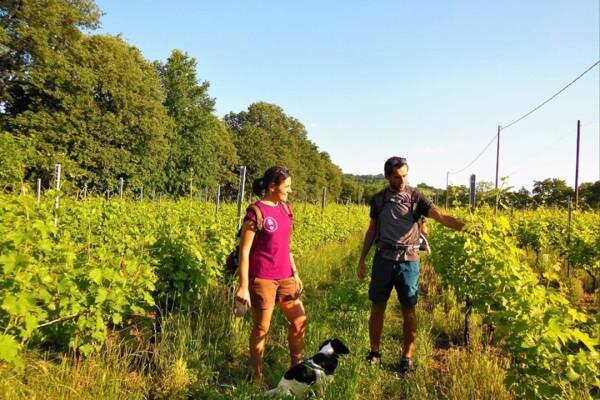 Trekking “Cammina Custoza” with Gourmet Finale & Craft Beer