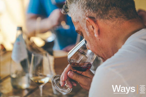 Visit Valpolicella with two tastings and winery visits (morning)