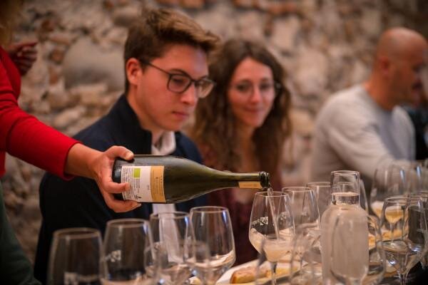 Wine tasting in Verona
