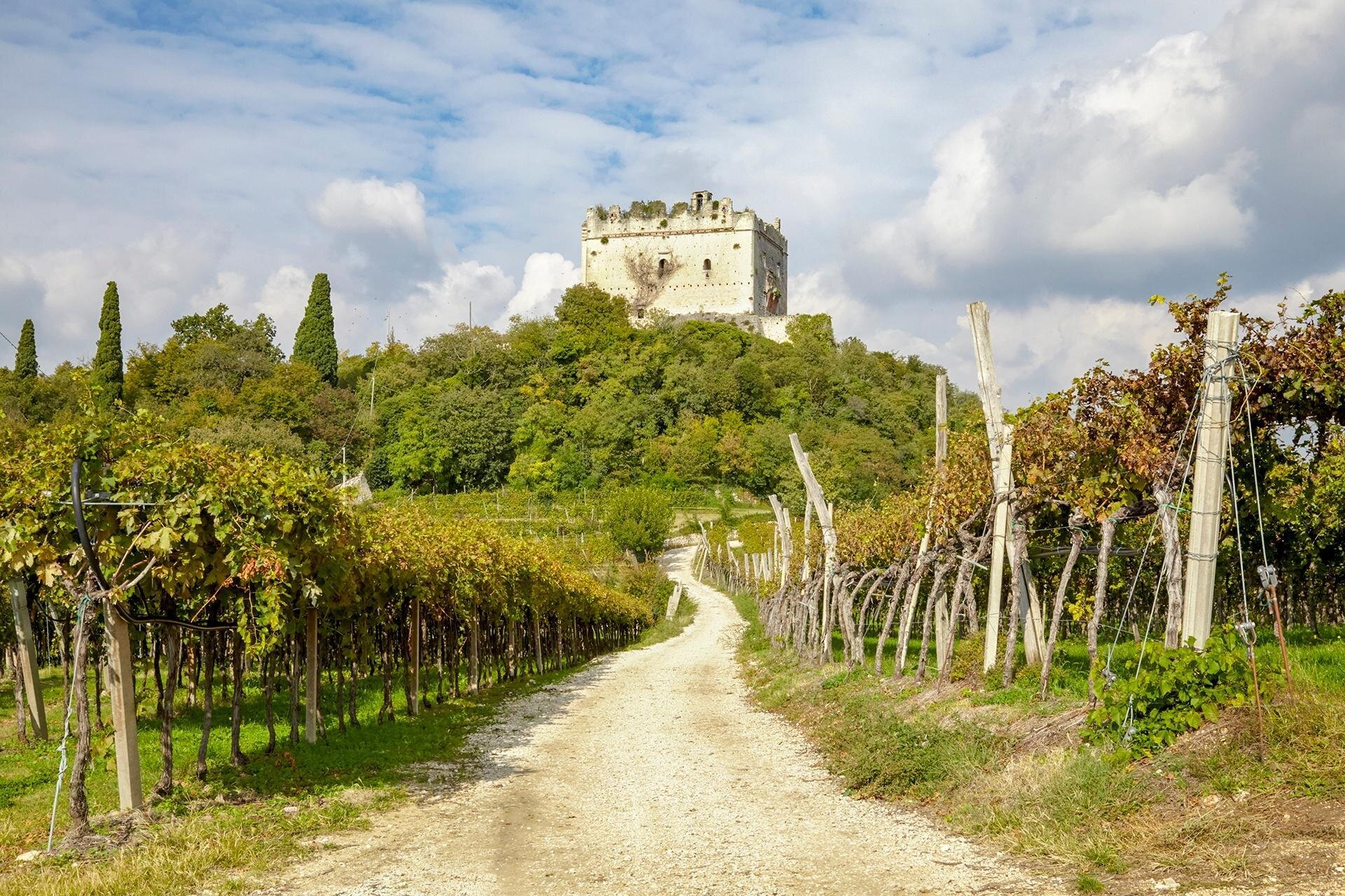 Castello di Illasi