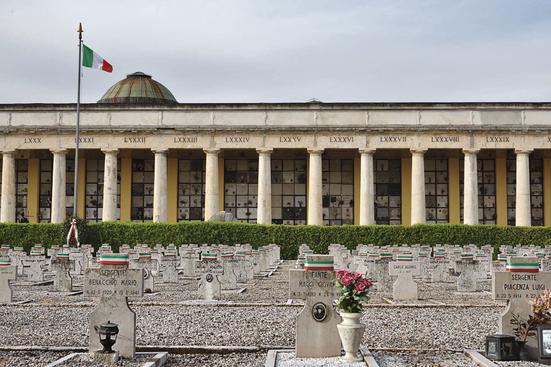 Images Trn 1 A64cc43a 4d93 474a 8ca2 0a0d3bd868b6 99 Image