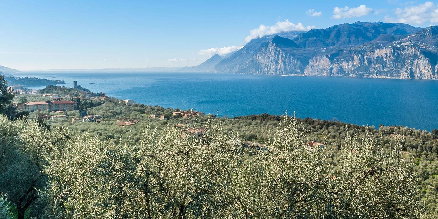 Consorzio Olivicoltori di Malcesine