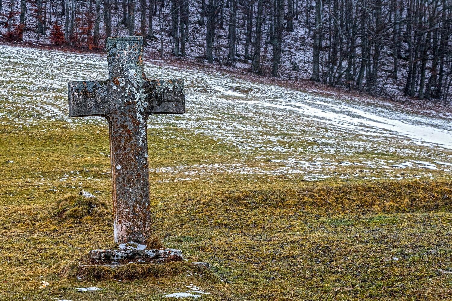 Images Trn 1 F7313c1a 081a 445c 89a2 Bf3df64f67d1 99 Image