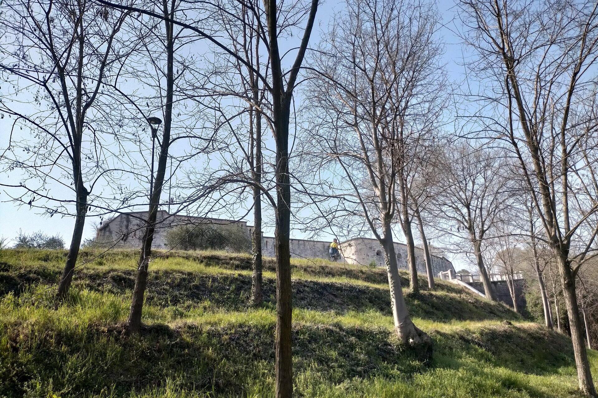 Fort Degenfeld