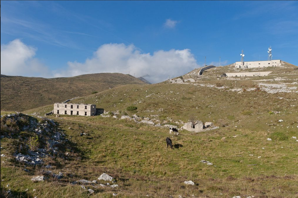 FORTE NAOLE