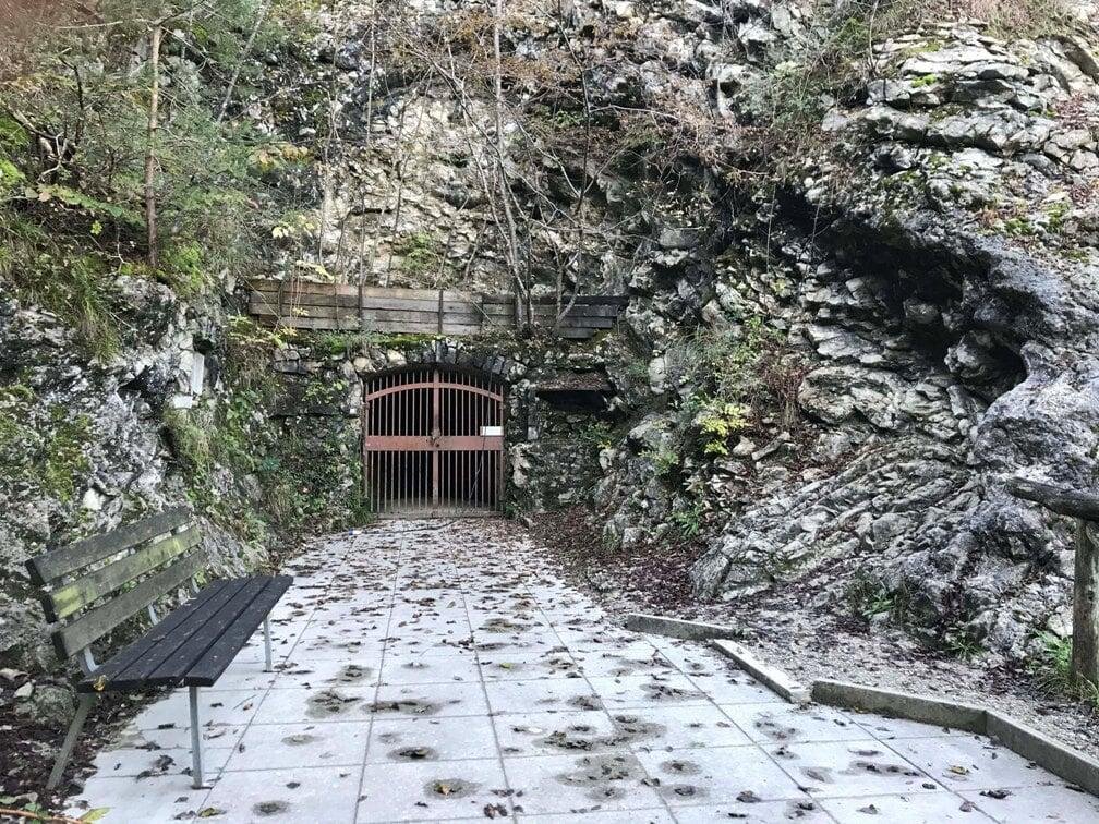 La Pesciara di Bolca
