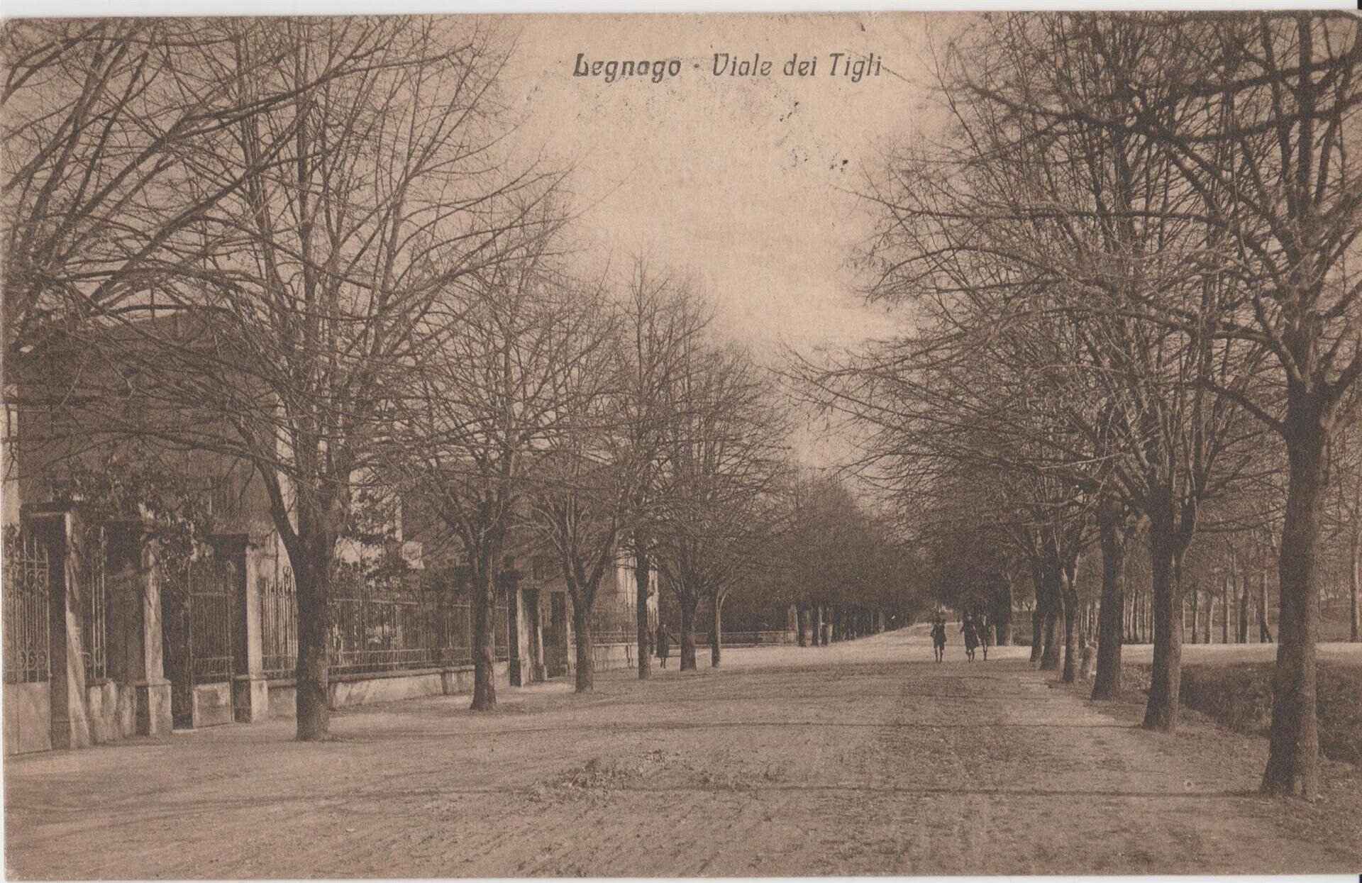 Images Trn 1 6bb8a03c 64cc 4e4c 9a29 D5c2cae742af 99 Image