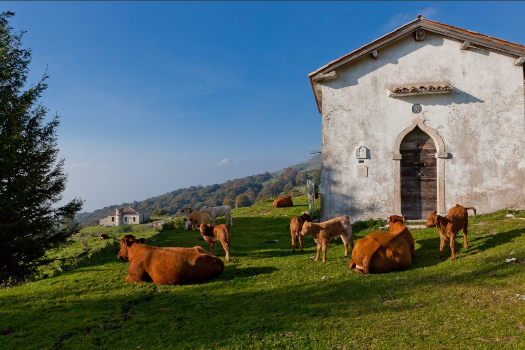 MADONNE DELLE NEVE