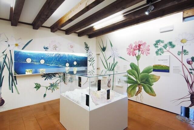 Museo di Storia Naturale