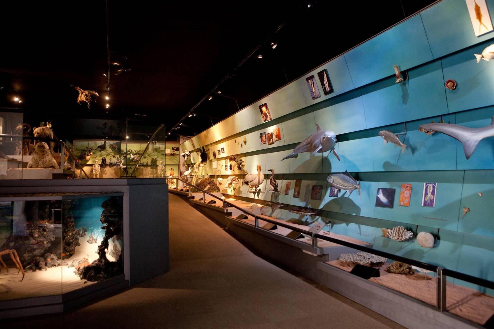 Natural History Museum