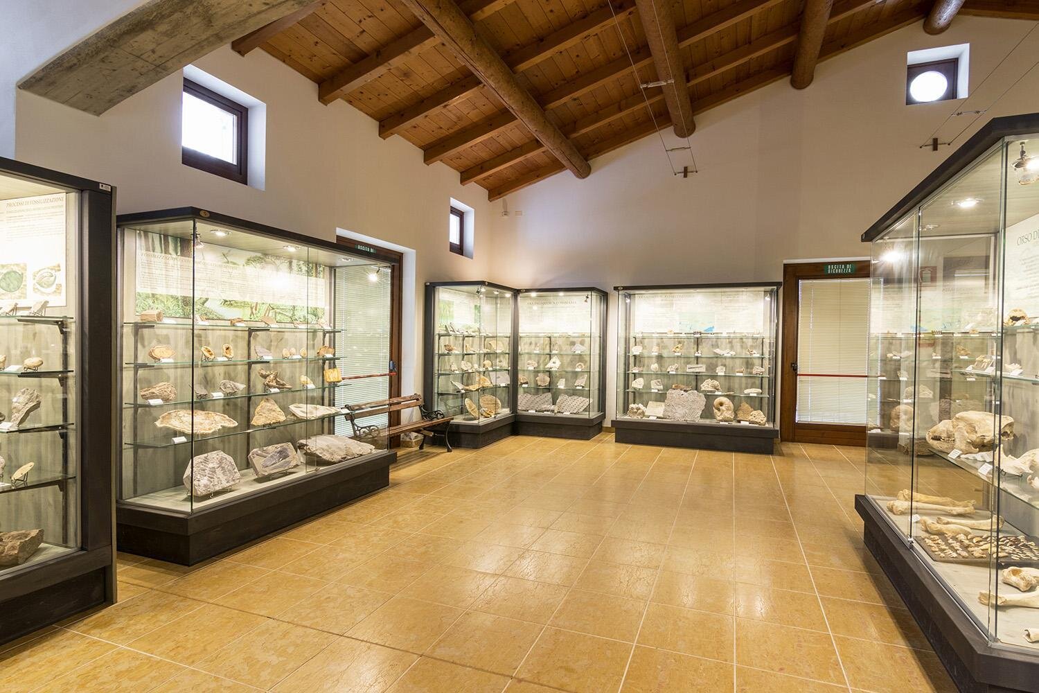 Museo Geopaleontologico di Camposilvano