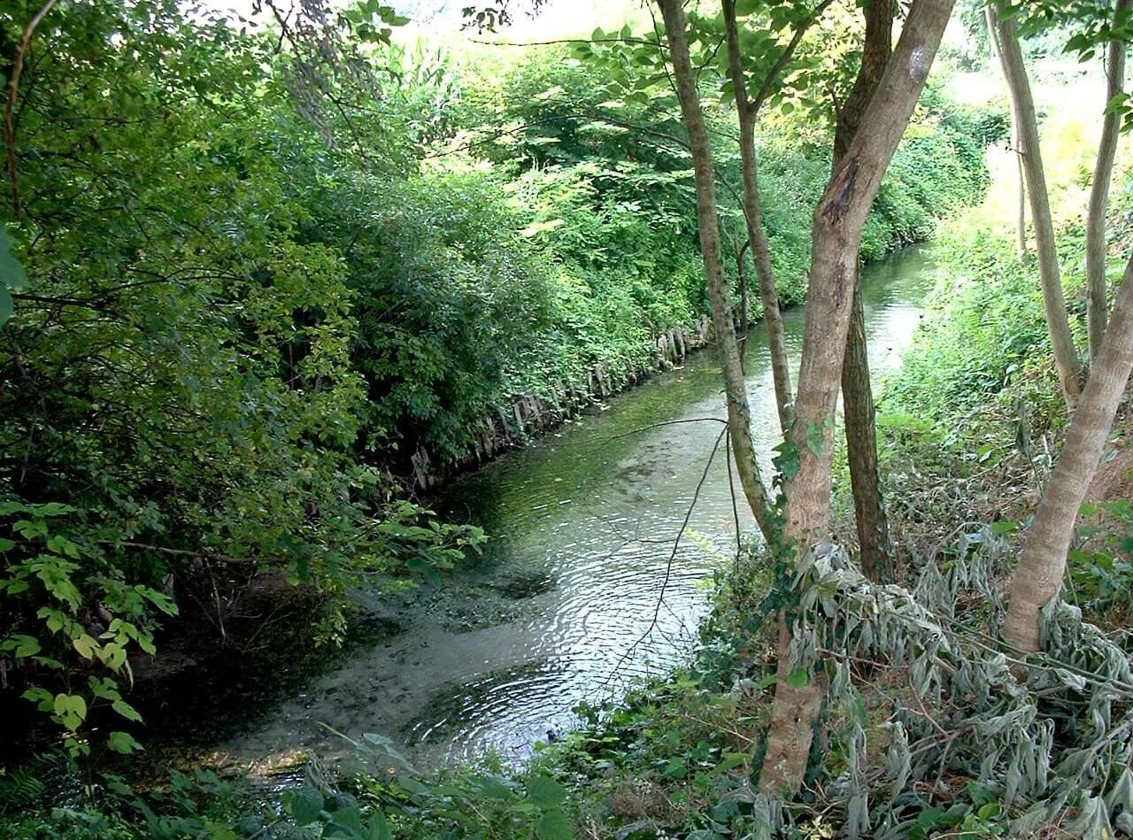 Oasi della Bora