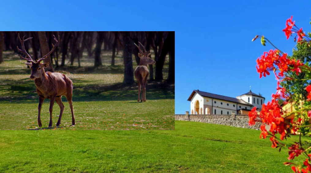 TENUTA CERVI