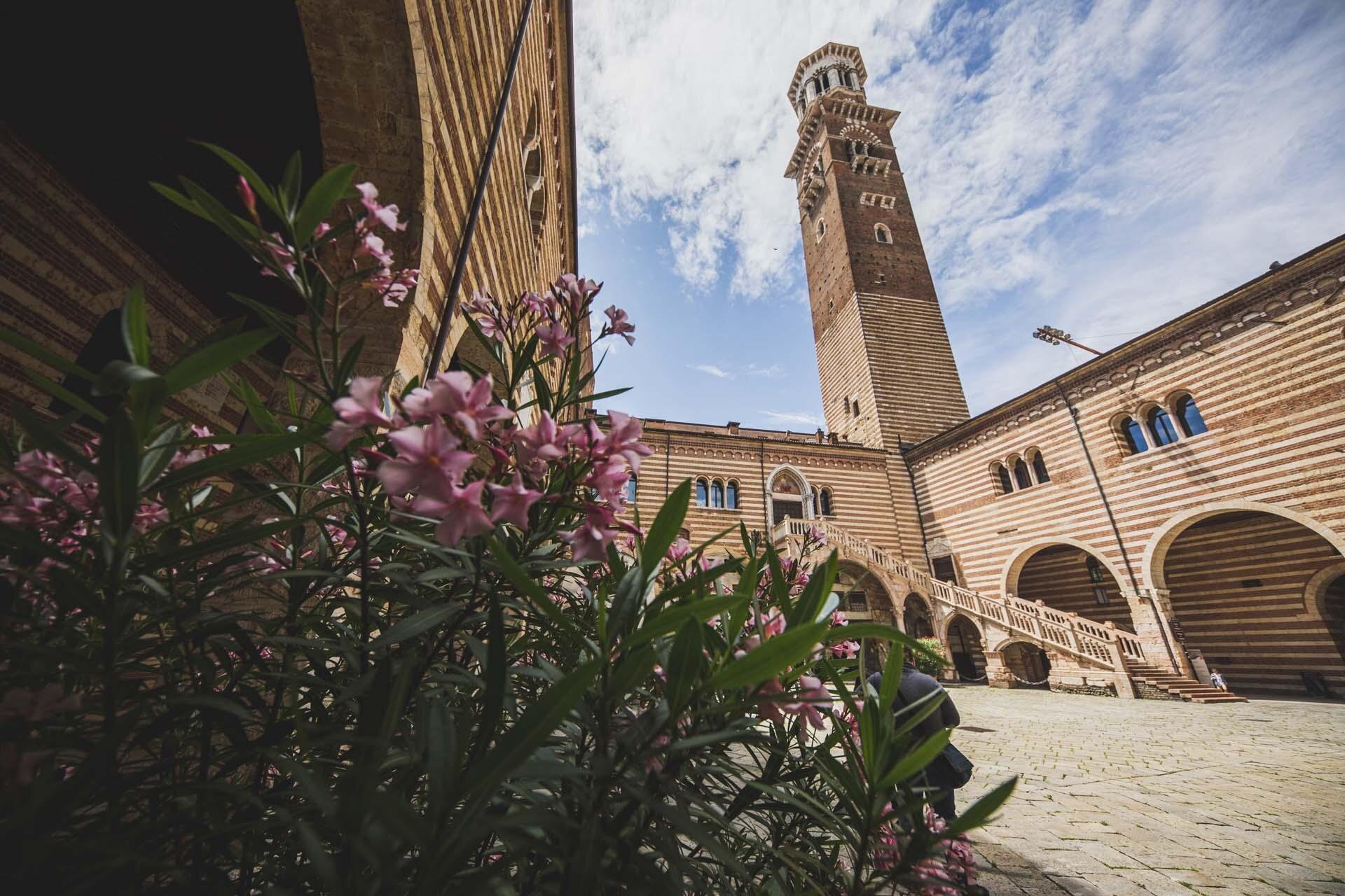 Images Trn 1 5d044eda 9d8f 41d5 99f4 Aa006b042da9 99 Image