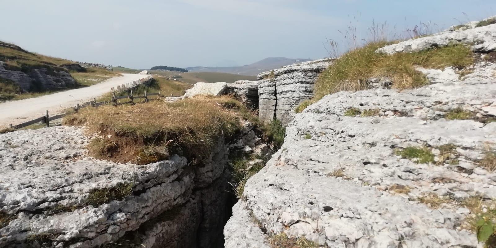 Images Trn 1 69f3947c 6ac1 4032 9e4d 07d6b52db8f7 99 Image