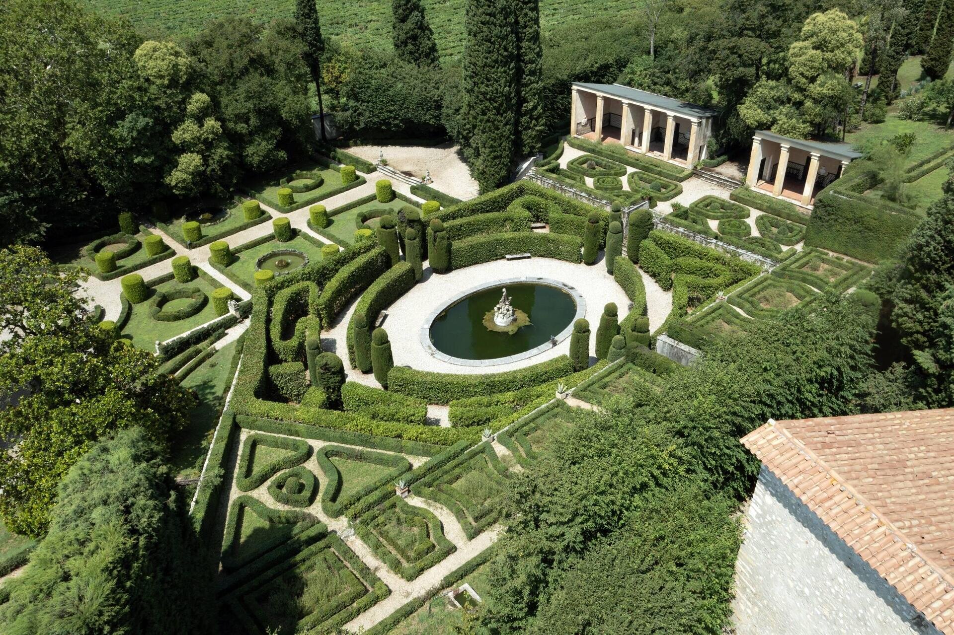 Images Trn 1 4442c393 7f06 4c57 Aa96 D21072c04856 99 Image