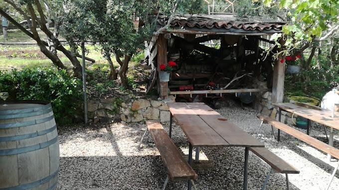 Agriturismo Monte Sassetto