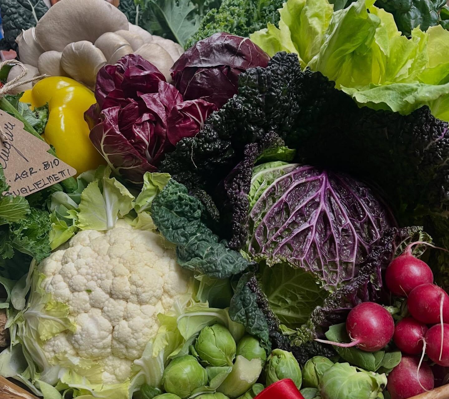 Azienda Agricola Biologica Gelmino Guglielmetti