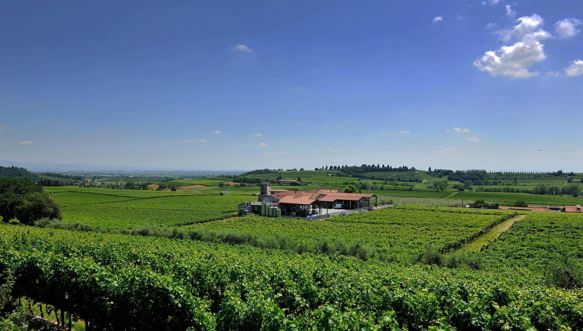 Azienda Agricola Cavalchina
