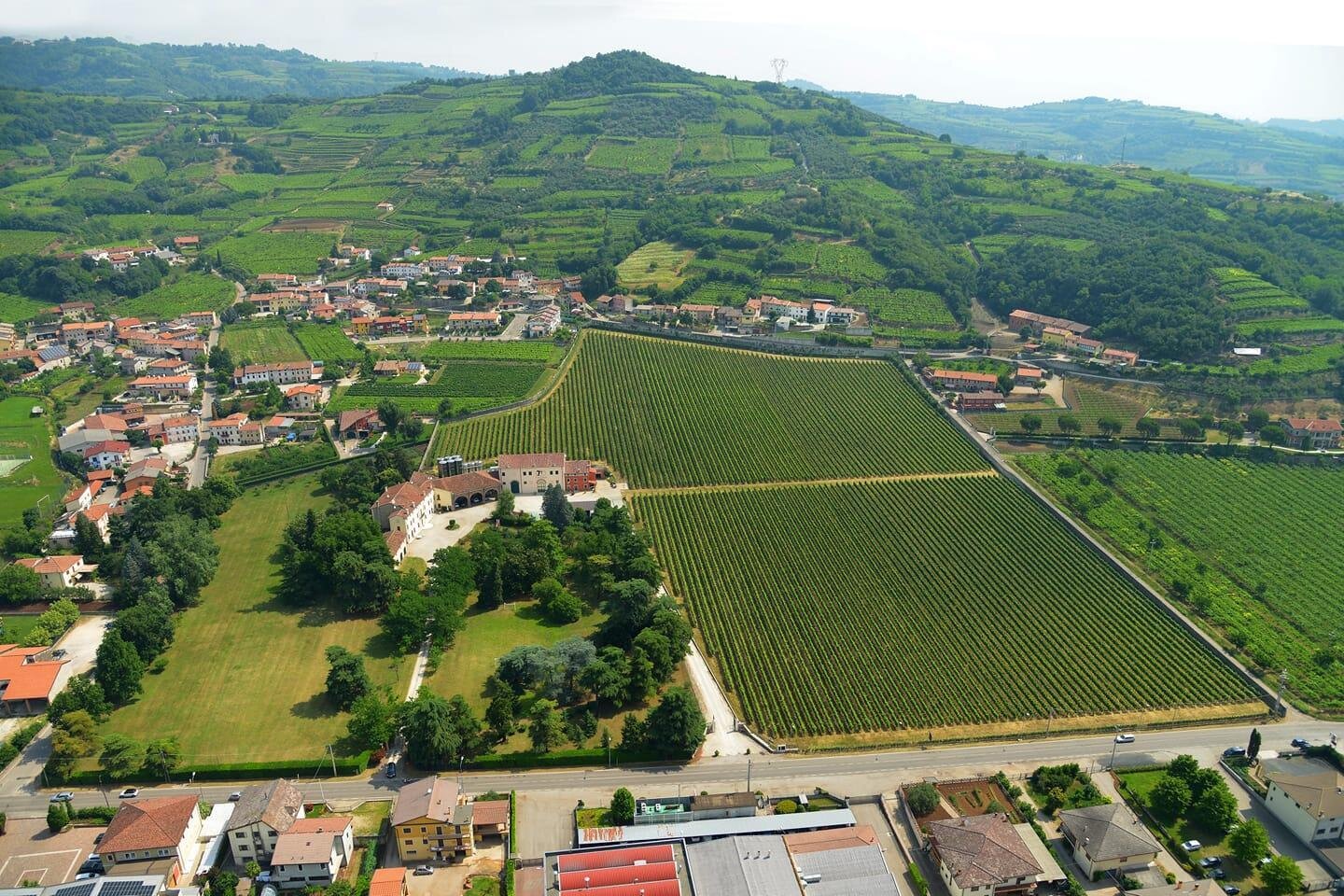 Azienda Vitivinicola Tirapelle Nicola