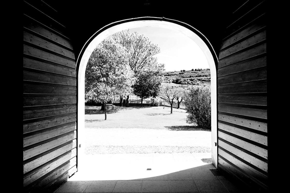 Images Trn 1 816187c4 6d00 4465 B1f8 411a695418e8 99 Image