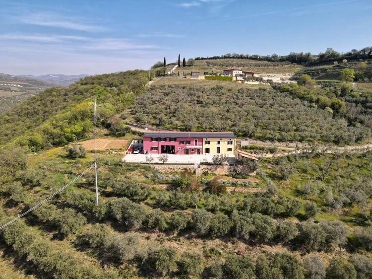 Cantina Carlo Alberto