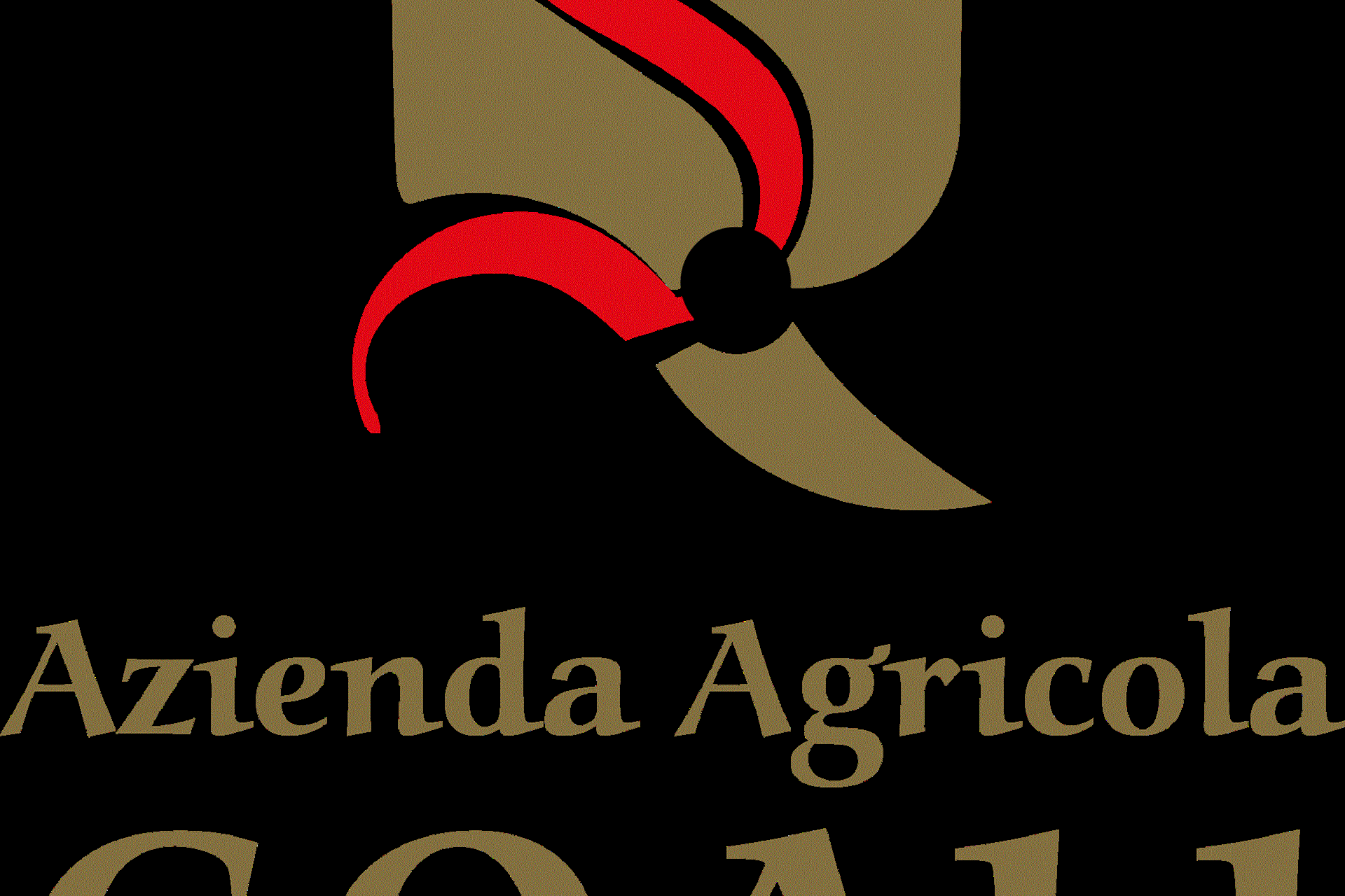 Cantina Coali