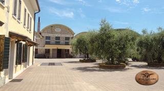 Distilleria Scaramellini