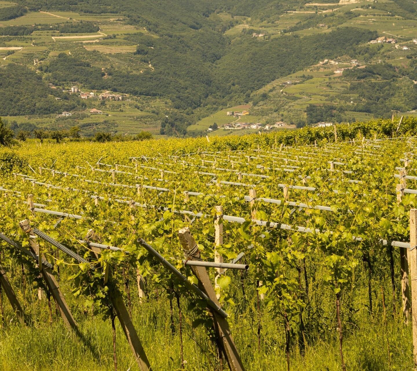La Tenuta Sasso Nero