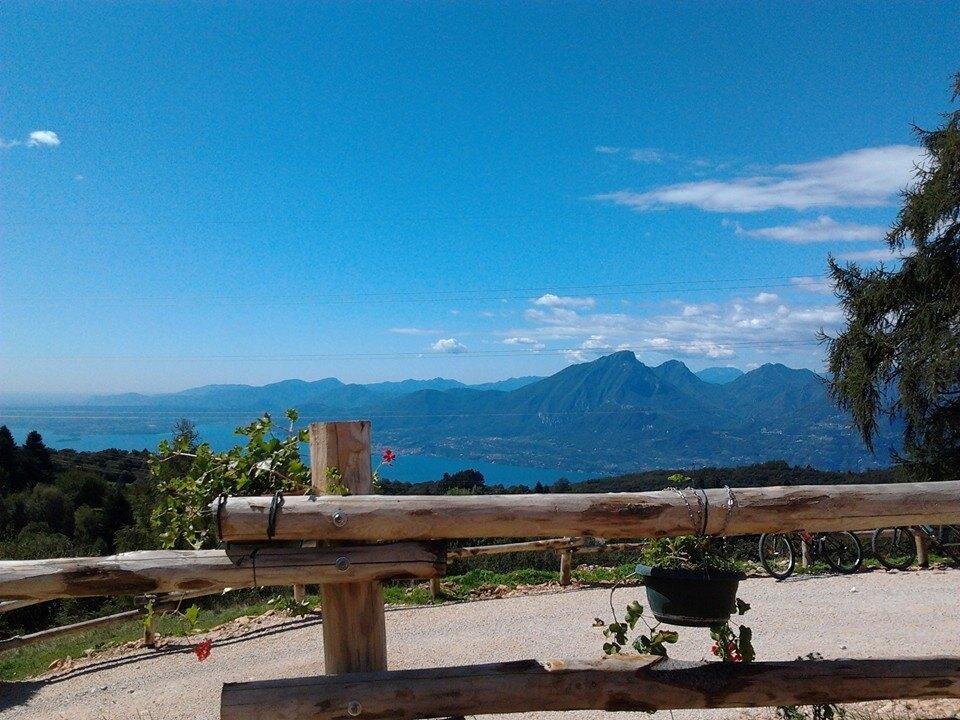 Malga Traure