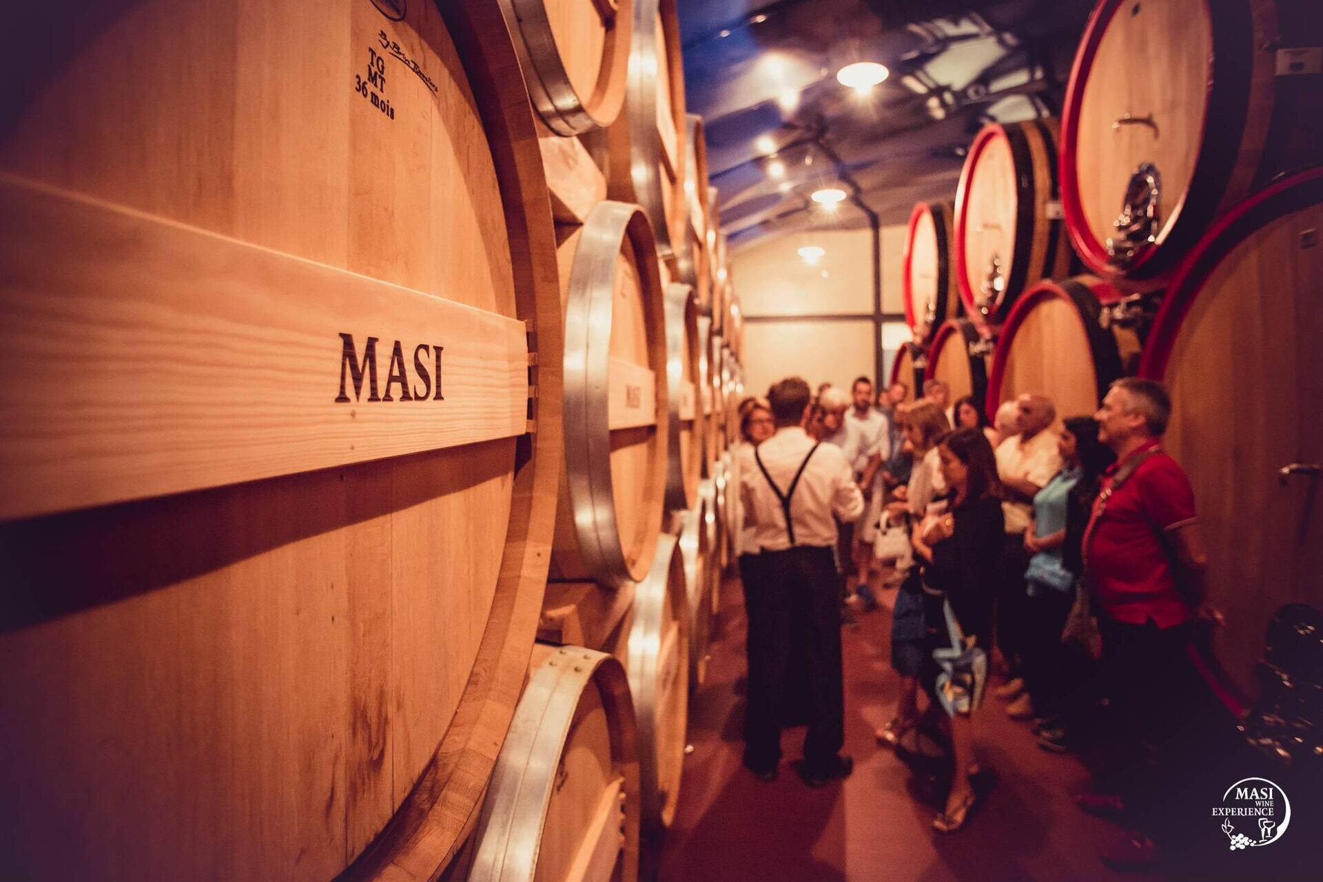 Masi