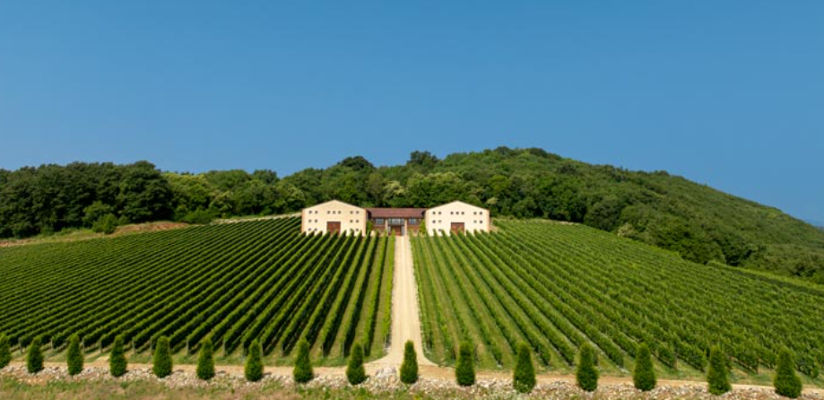Società Agricola Fattori