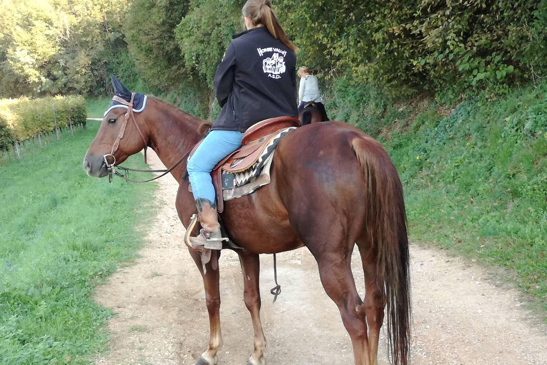 ASD Horse Valley