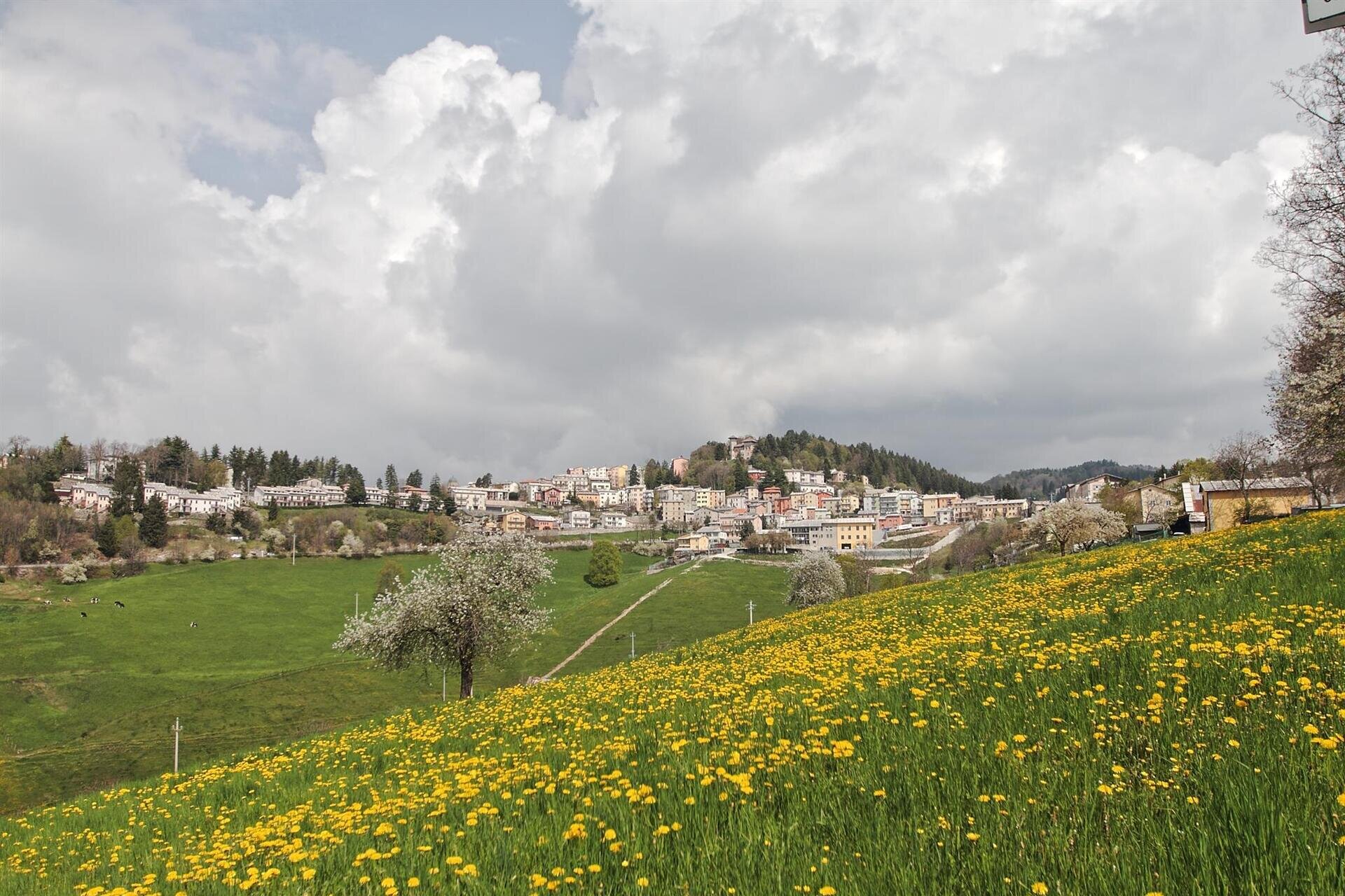 Assobosco