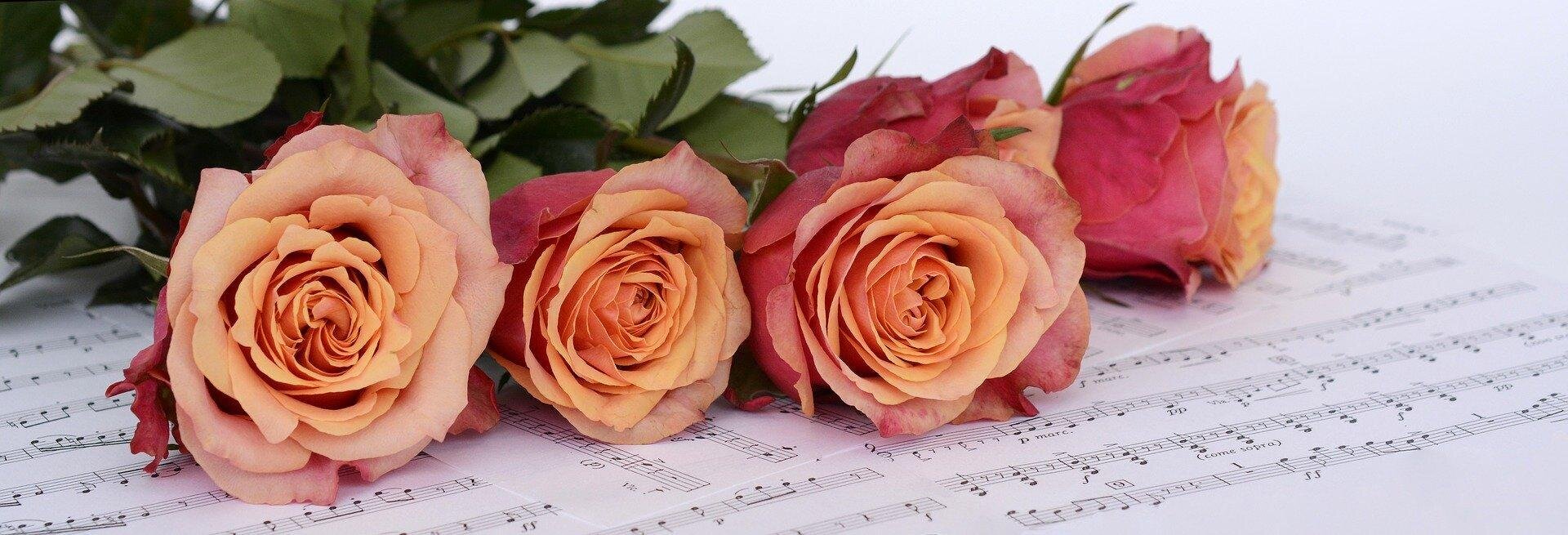 Associazione Musicale Ecclesia Nova