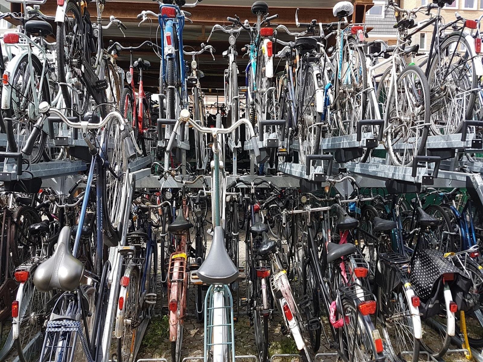 Bella bici noleggio biciclette