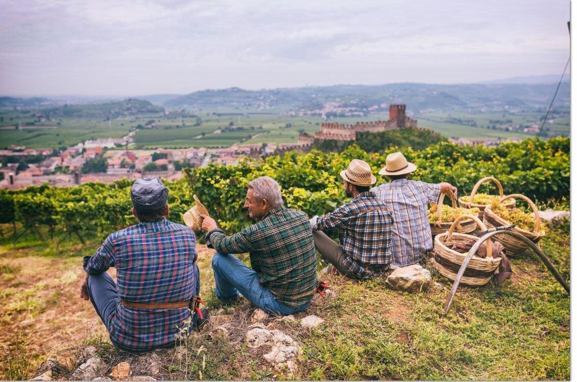 Consorzio Tutela vini Soave