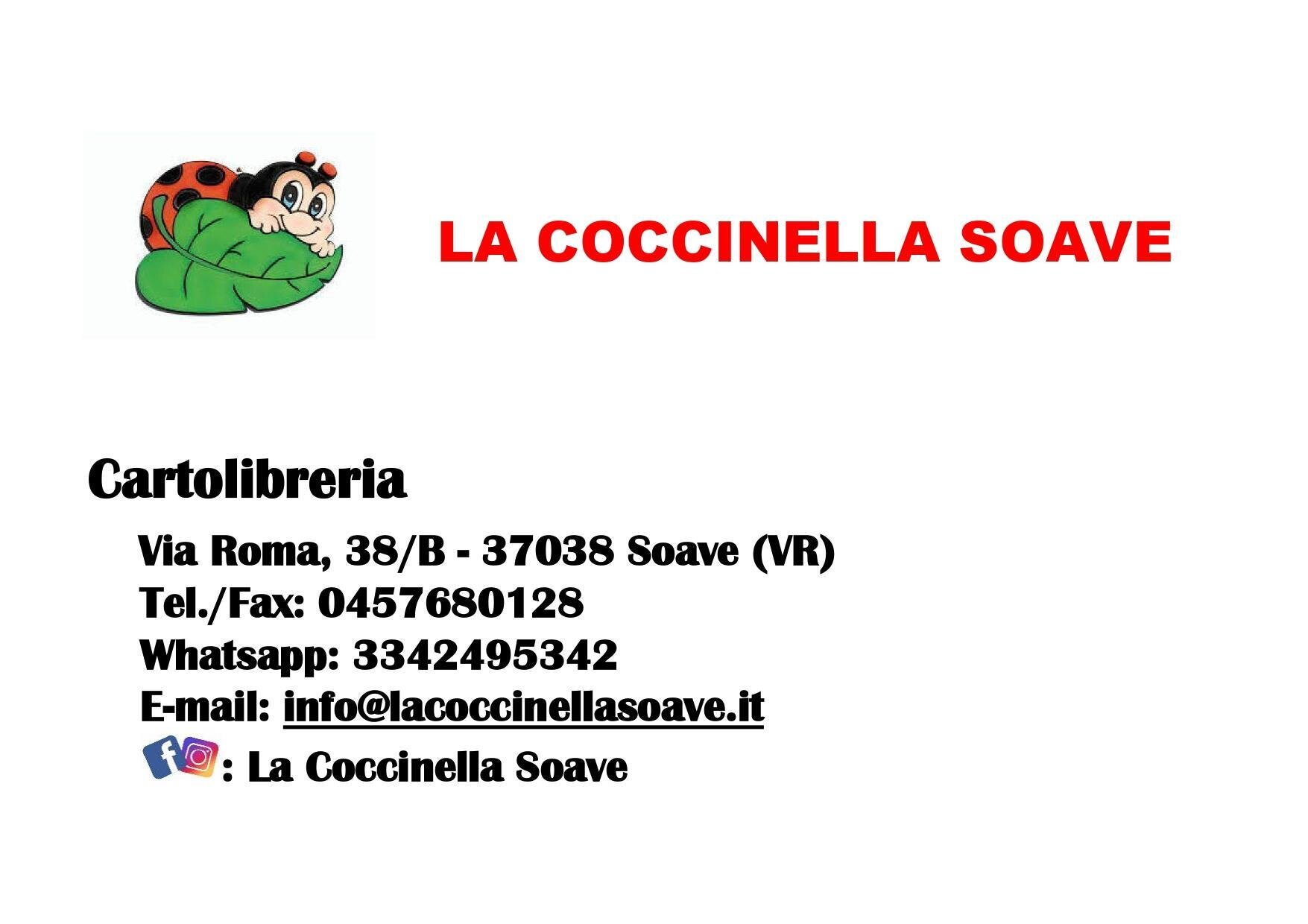 Images Trn 1 022cc8cc Ad92 438b 9cdc 4754fdbd4fcf 99 Image