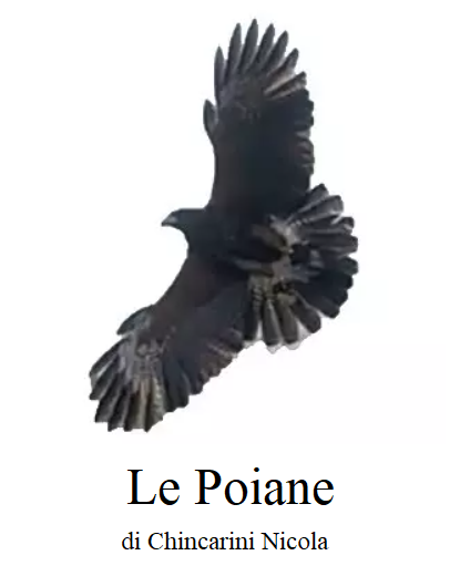 Le Poiane di Nicola Chincarini