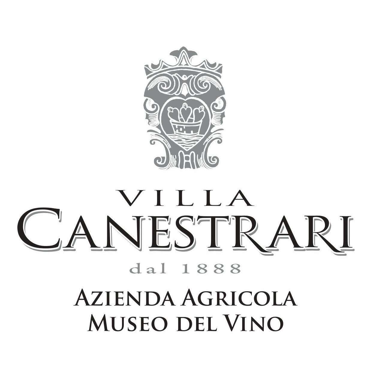 Sala Conferenze Museo del Vino - Villa Canestrari