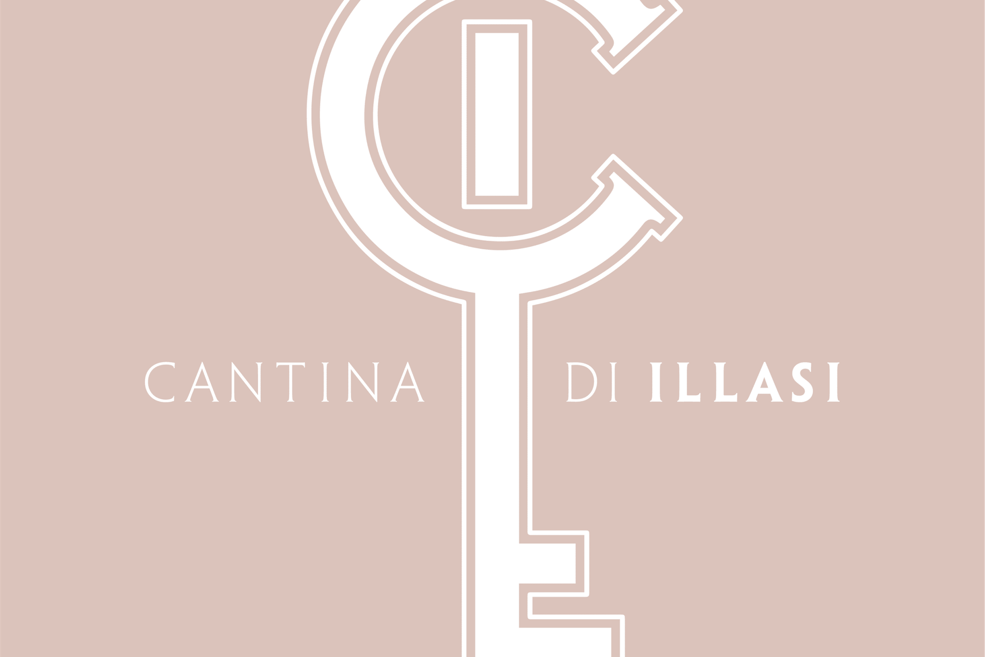 Wine Shop Illasi