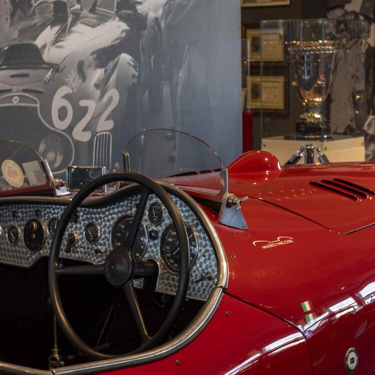 Museo Nicolis Ph Leaduser 34