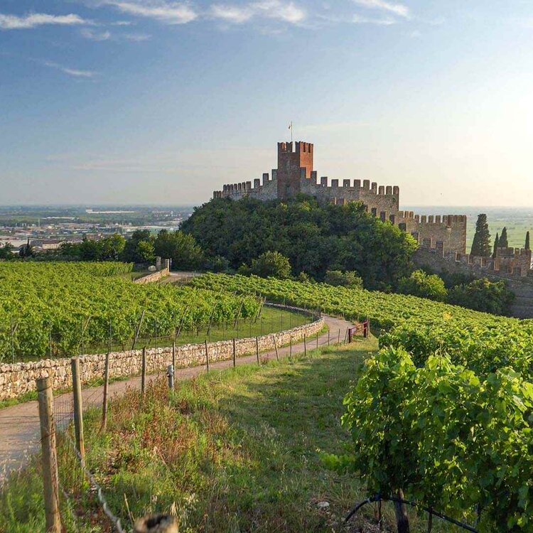 Strada Tra I Vigneti Di Soave Castello Medievale