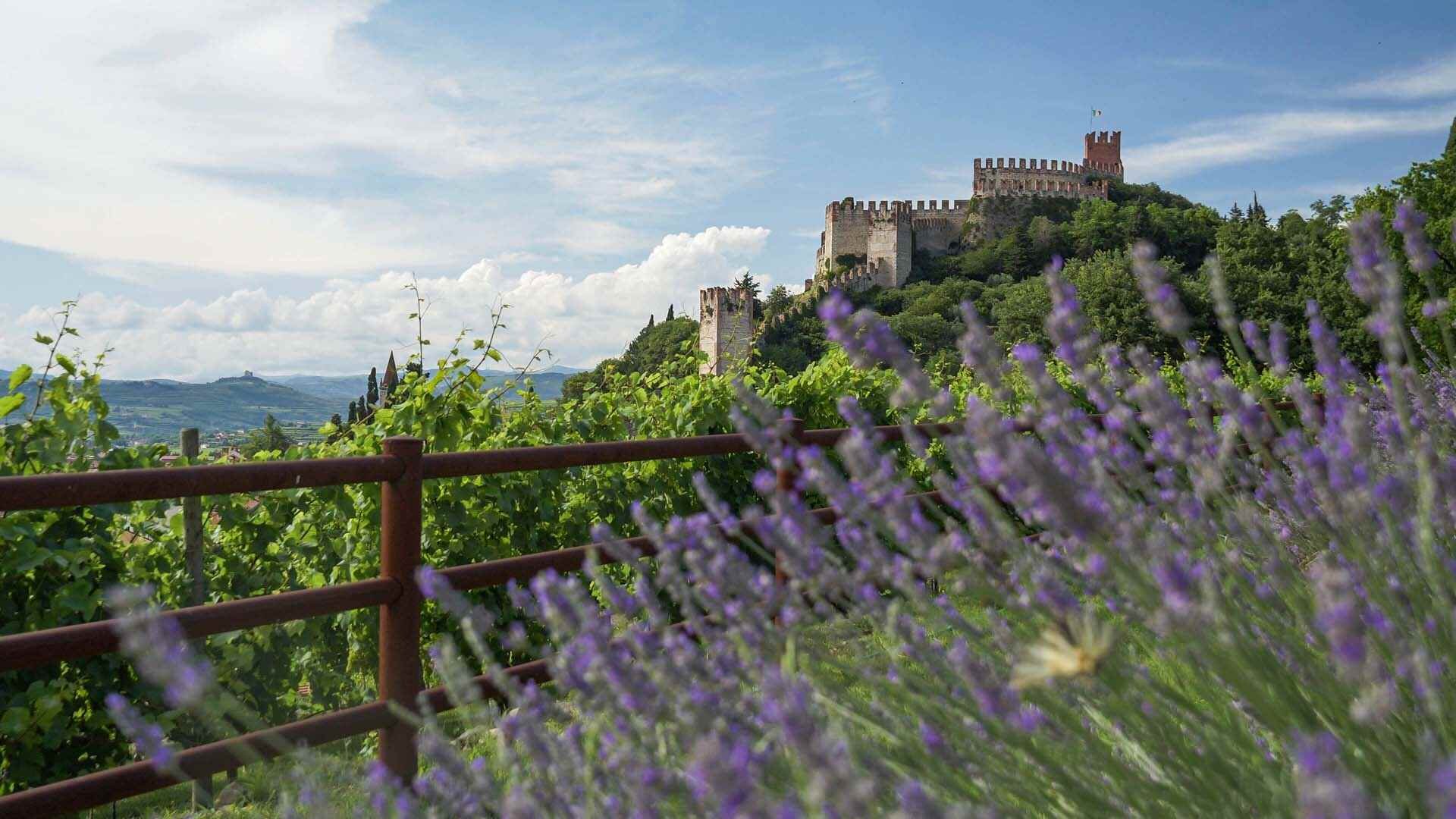Scorcio Castello Di Soave Panorami Veneti