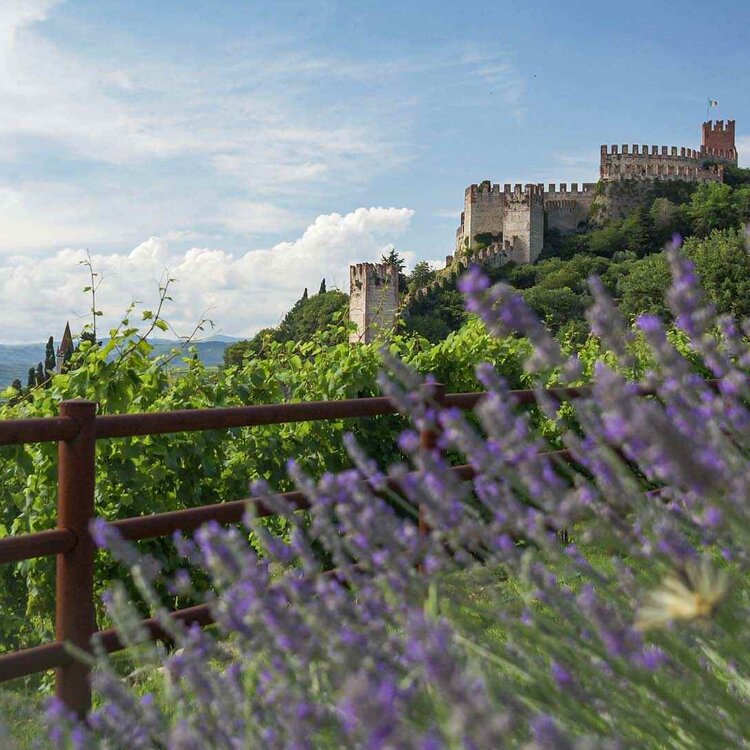 Scorcio Castello Di Soave Panorami Veneti
