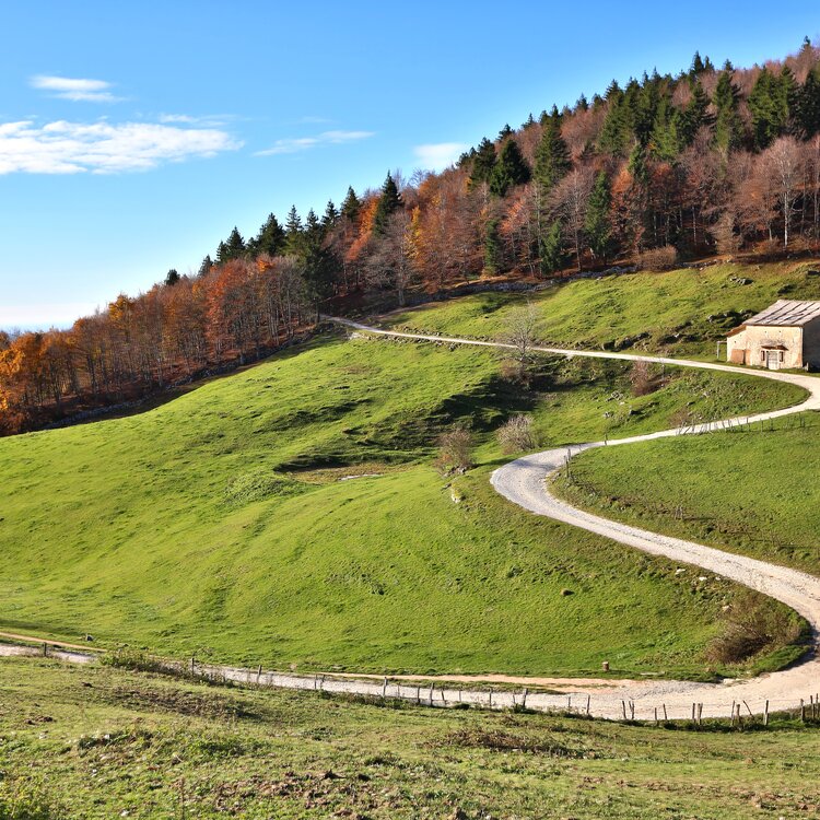 Autunno In Lessinia1