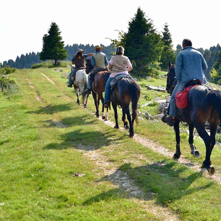 Foto 4 Passeggiate A Cavallo